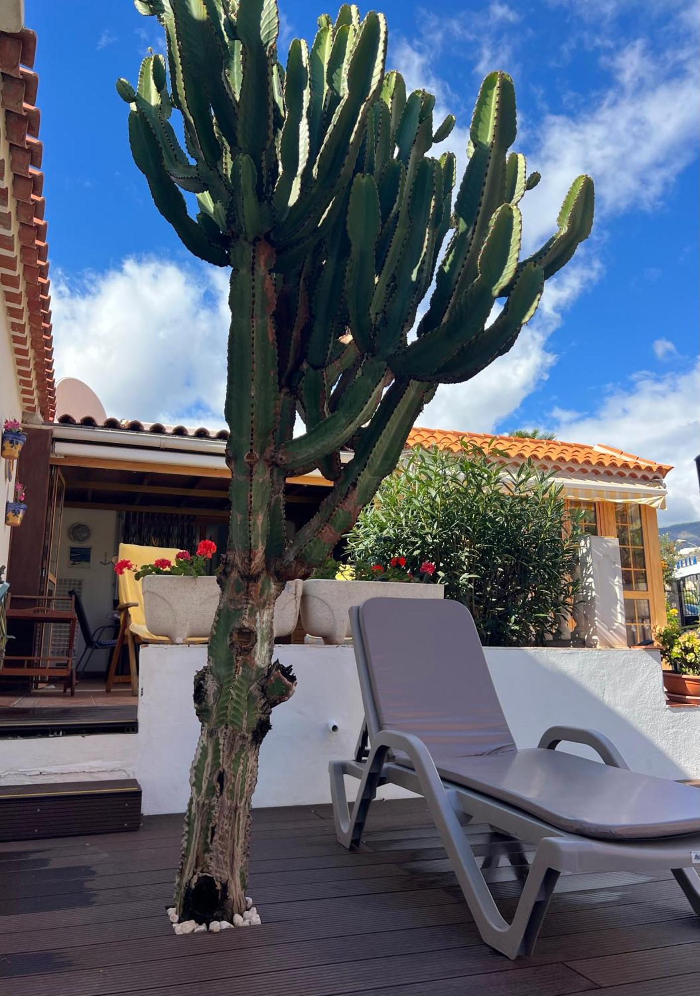 Cactus'S House, 150 M Beach, 1 Bdr, 4 Guests, Wifi, Netflix, Адехе Экстерьер фото